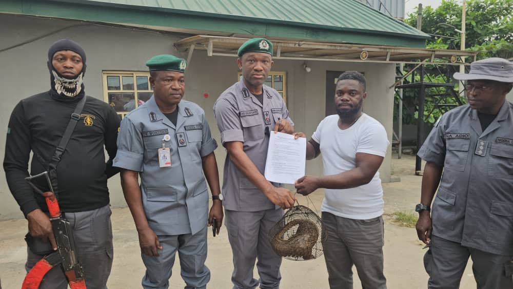 Customs FOU Zone A Intercepts Four Live Pangolins in Ajilete Creeks